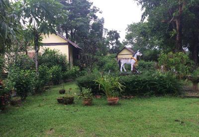 Kuraburi Resort