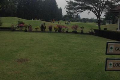The Pine Golf & Lodge