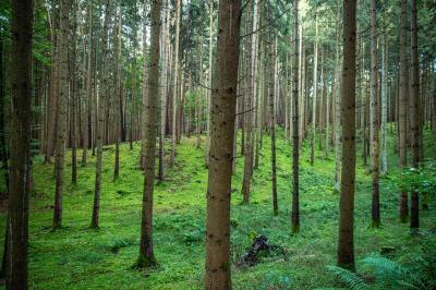 Naturhotel Wittelsbach