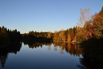 Hotel Waldsee