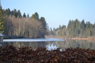 Hotel Waldsee
