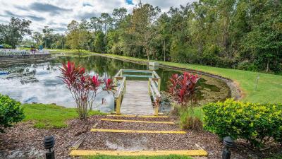 Barefoot Suite Condos Close To The Parks