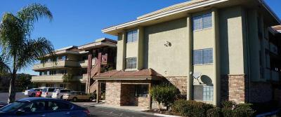 Executive Inn Hotel