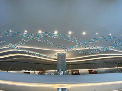The Oceanic Sportel (SHA Extra Plus)