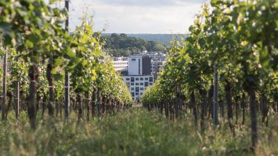 Holiday Inn - the niu, Form Stuttgart Feuerbach
