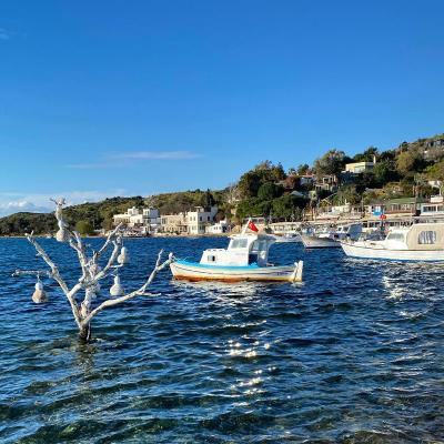 Liman Hotel Gümüslük