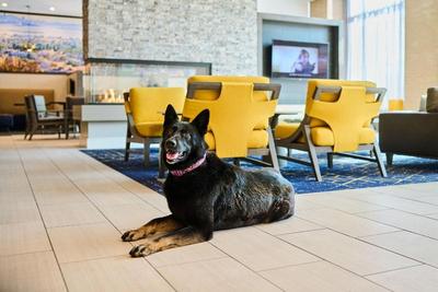 Residence Inn by Marriott Berkeley