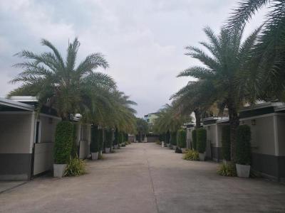 The 9 Resort by ZUZU
