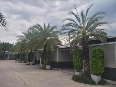 The 9 Resort by ZUZU