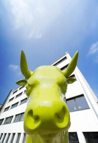 BONNOX Boardinghouse & Hotel