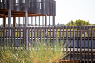 The Camp Hotel & Lodges