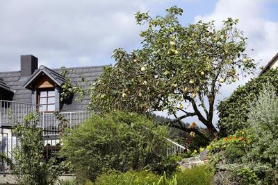 Hotel Haus Kylltal