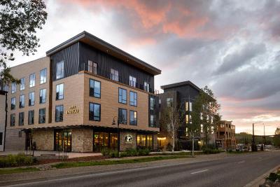 Indigo Silverthorne
