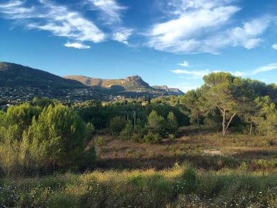 Evancy Vence - Les Jardins d'Azur