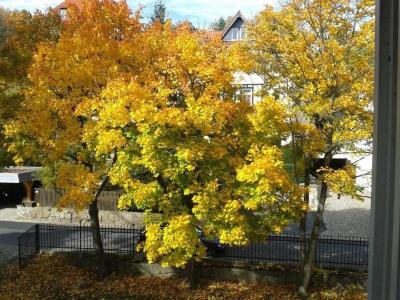 Pension Haus Marga
