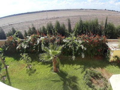 Riad Tanjil
