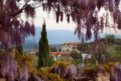 Vinifera Hotel Yedibilgeler Vineyards