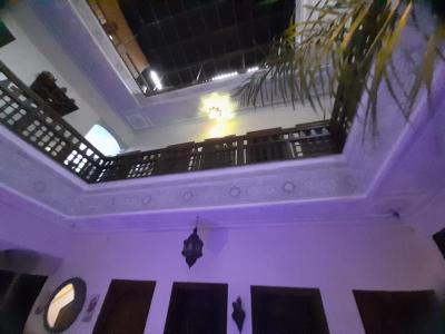 Riad Nouhal