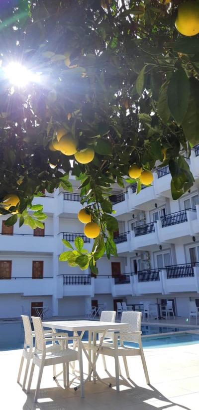 Elijah Hotel