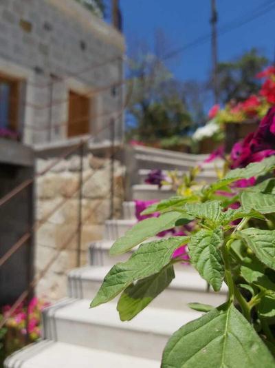 Vigneron Cave Hotel