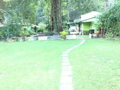 The Grand Tree Resort