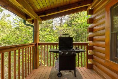 Cedar Top