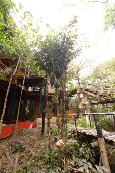 P&P Coffee & Resort Mae Sariang