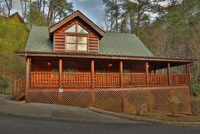 Mountain Fun - One Bedroom Cabin