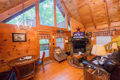 Secluded Escape - One Bedroom Cabin