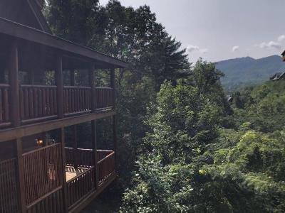 Playhouse Cinema - Four Bedroom Cabin