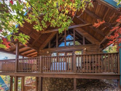Enchanted View Lodge