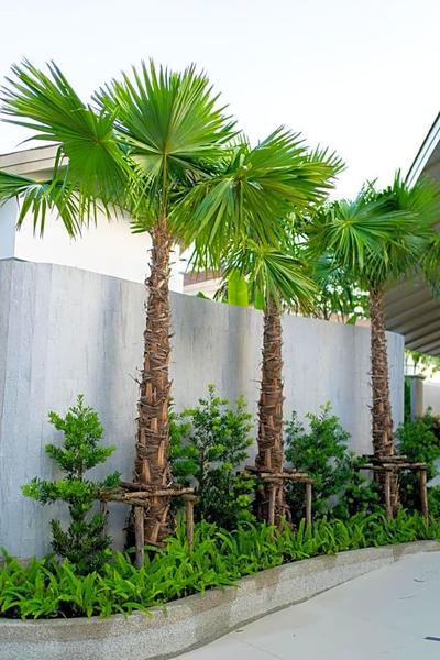 Panwaburi Beachfront Resort Sha Extra Plus