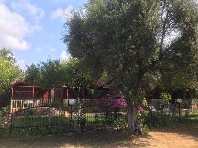 Toll Garden House