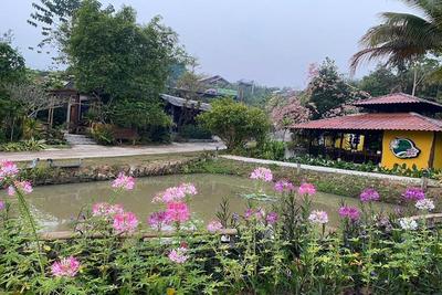 Nokkamin Home