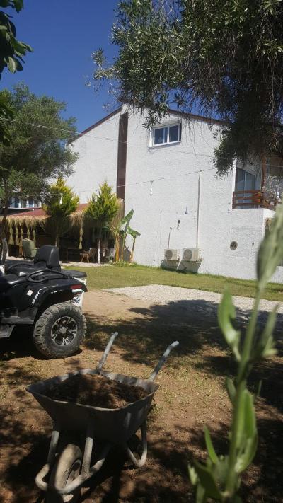 Surla Hotel