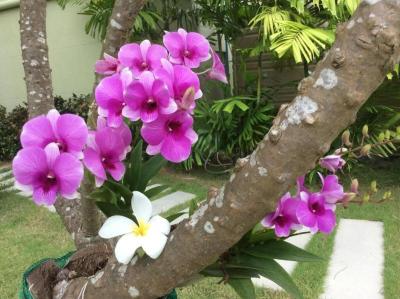 Greenseaview Resort