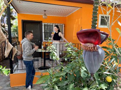 Çilek's Apart Otel
