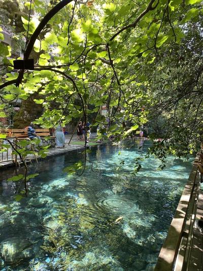 Yuvarlakcay Cinar Butik Otel