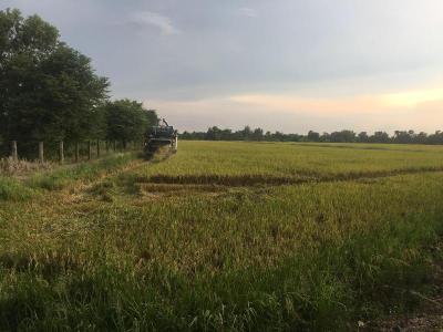 Baan Suan View Dee Homestay