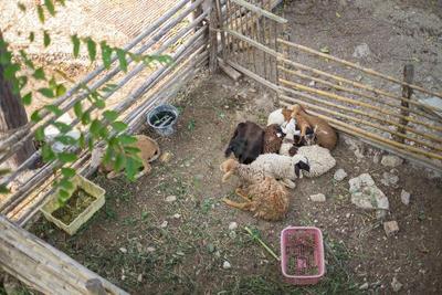 Rai Ruen Rom Organic Farm