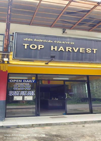 Top Harvest Rental