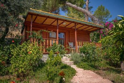 Felicity Hotel & Bungalows