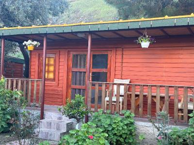 Felicity Hotel & Bungalows