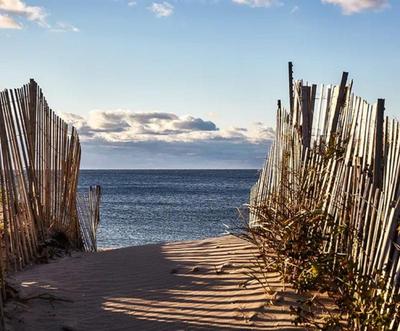 Marram