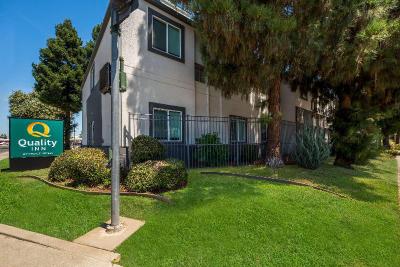 Quality Inn Yuba City