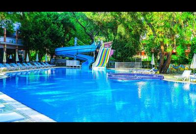Festival Nature Hotel