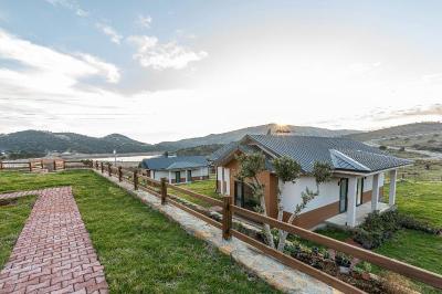 Otel Tolstoy'un Bisikleti