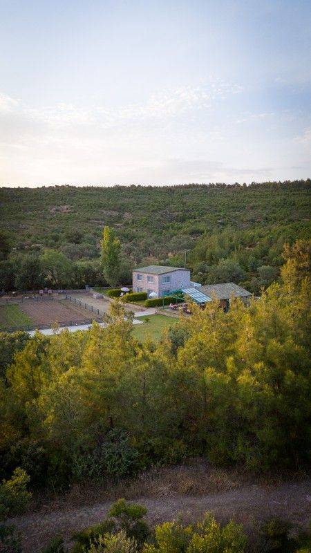 Leone Natural Otel