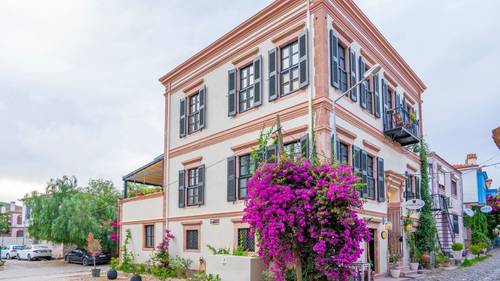 Siyah Lale Cunda 1841