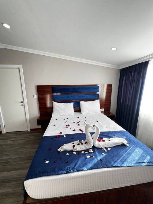 Lion King Hotel
